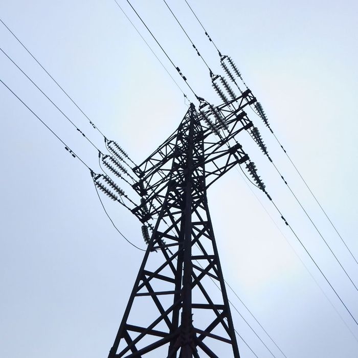 Powerline Services Pierce Powerline Pierce Powerline Co.